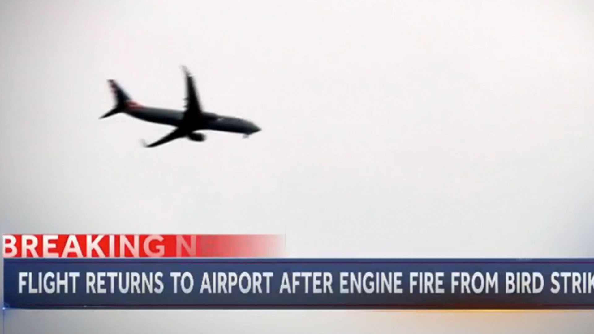 Bird strike causes engine fire and return to airport for an American Airlines jet